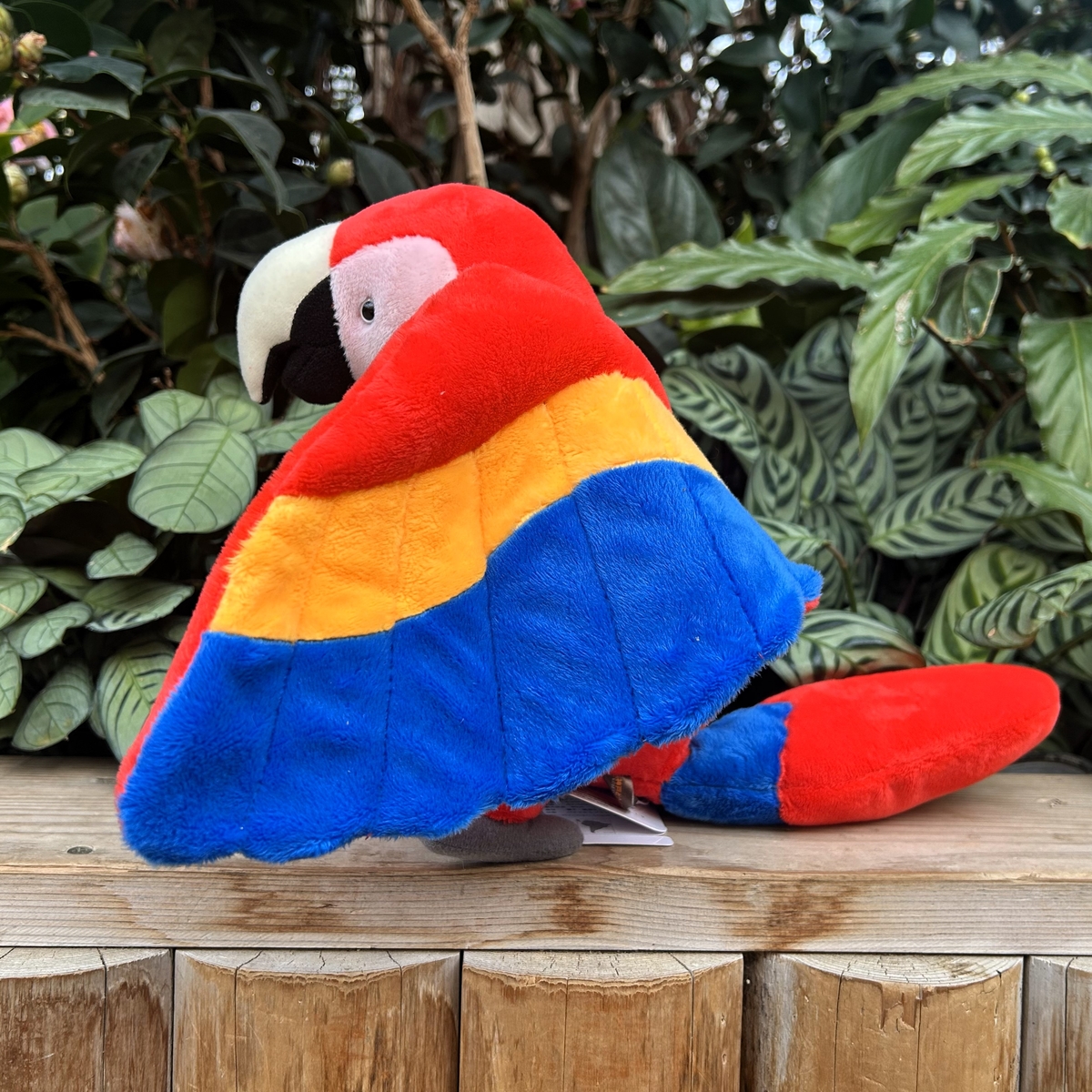 Originalぬいぐるみ アカコンゴウインコ | 神戸どうぶつ王国NS