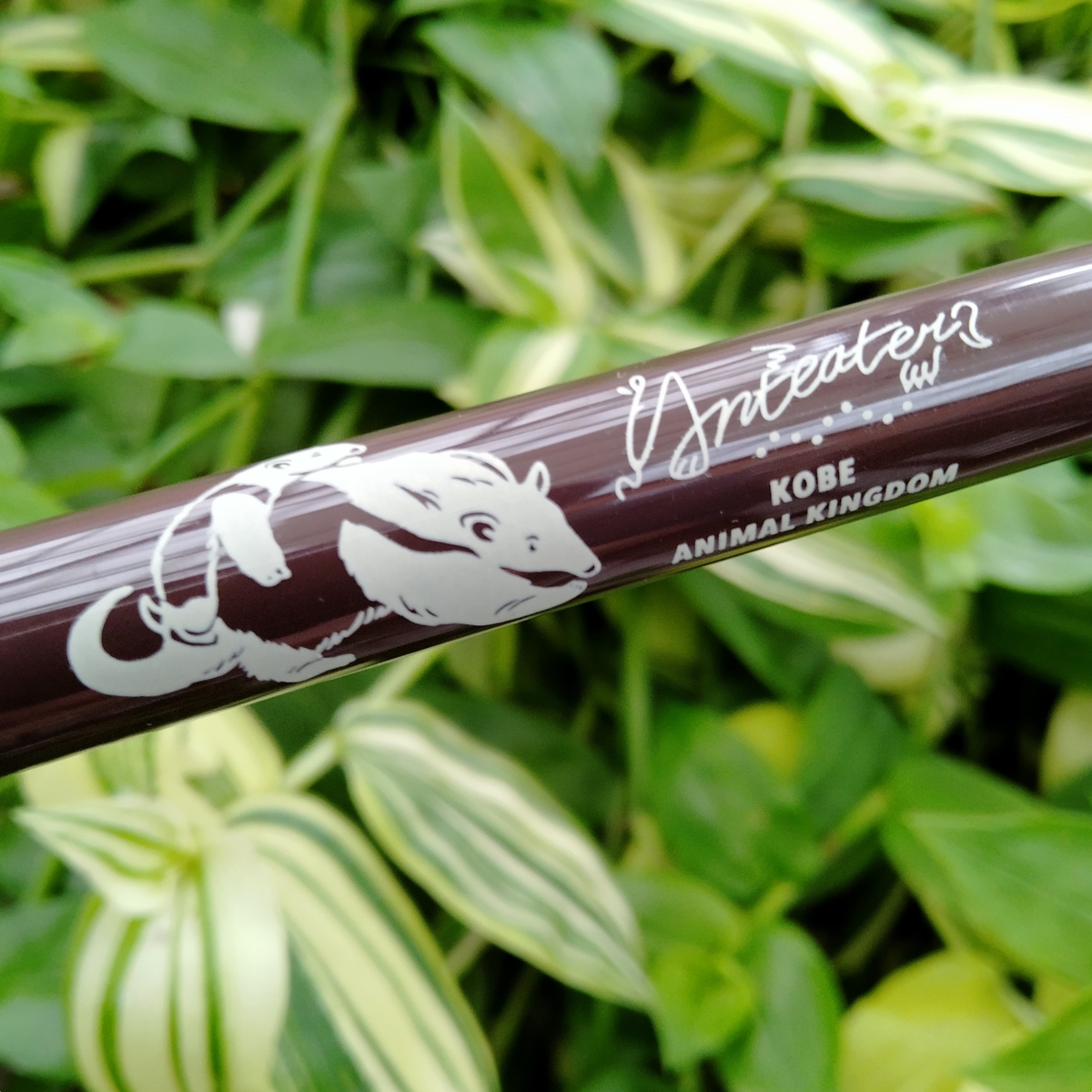 SARASAボールペン ミナミコアリクイ ブラウングレー | 神戸どうぶつ