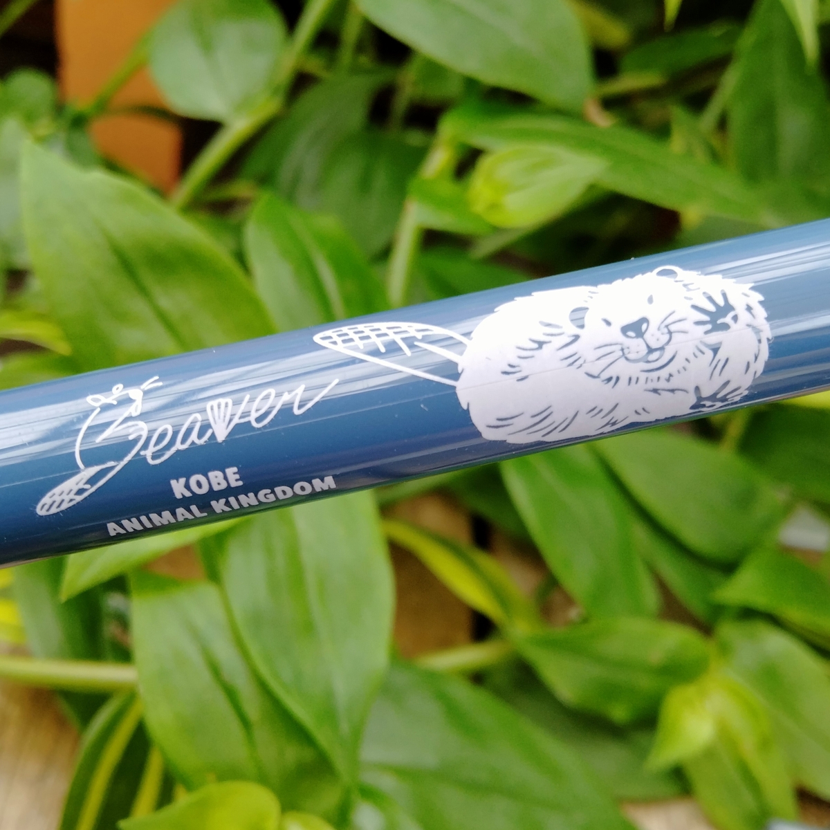 SARASAボールペン アメリカビーバー ブルーグレー | 神戸どうぶつ王国NS