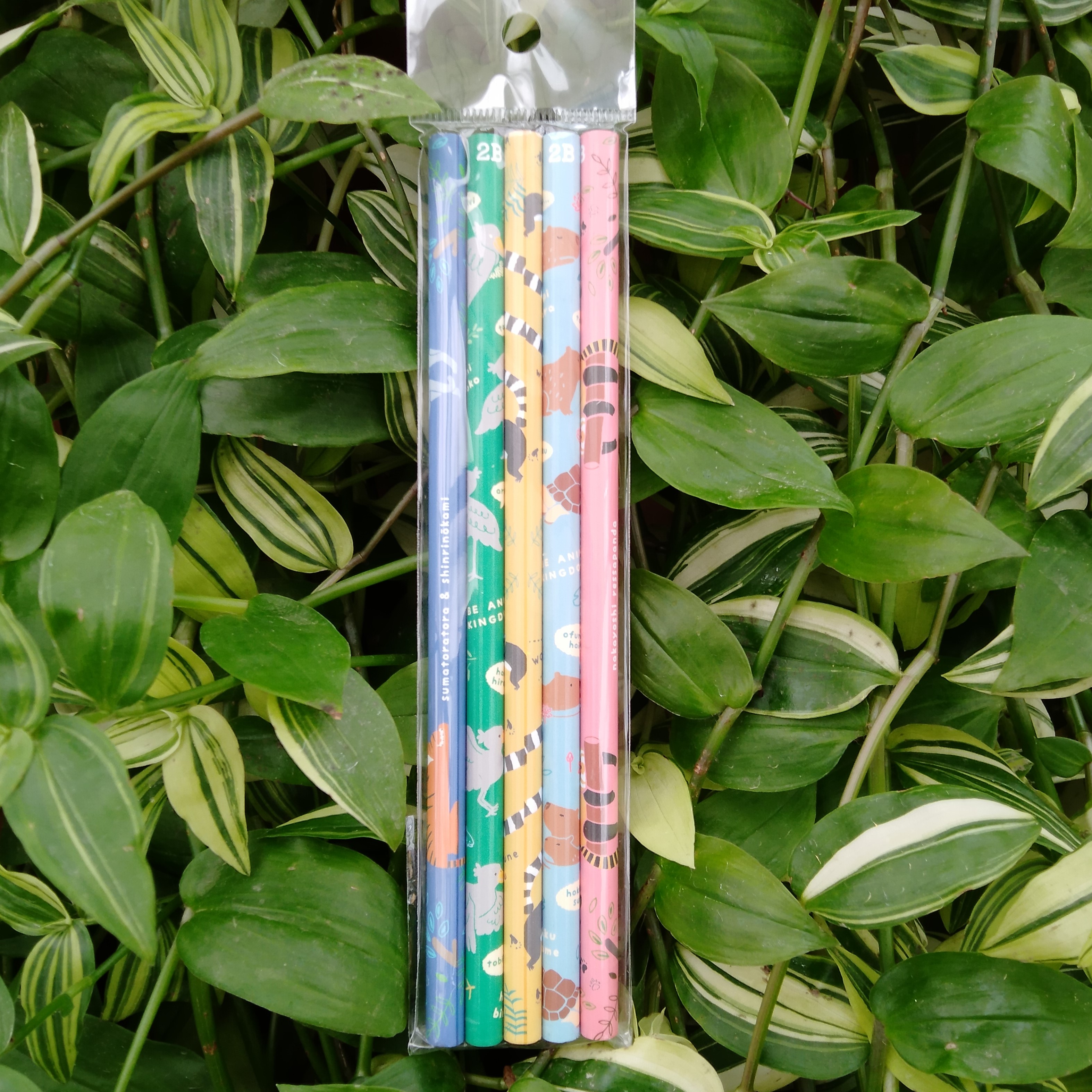 彩りえんぴつ 5本セット | 神戸どうぶつ王国NS