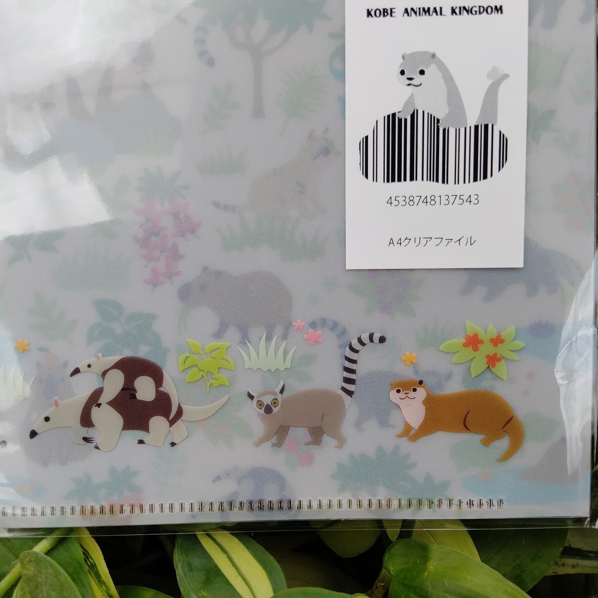 ヒグチユウコ ファンタジーアニマルフォレスト 両面 A4 クリアファイル