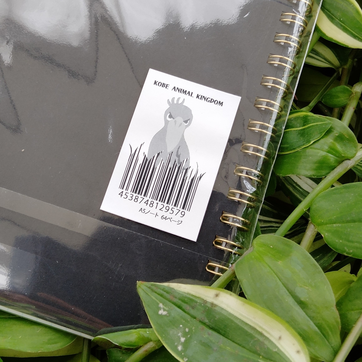 A5リングノート シャムドクチュール黒 王国動植物テキスタイル柄