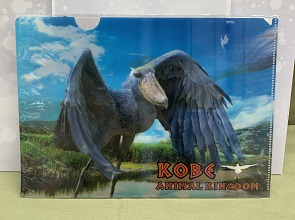 ハシビロコウ | 神戸どうぶつ王国NS
