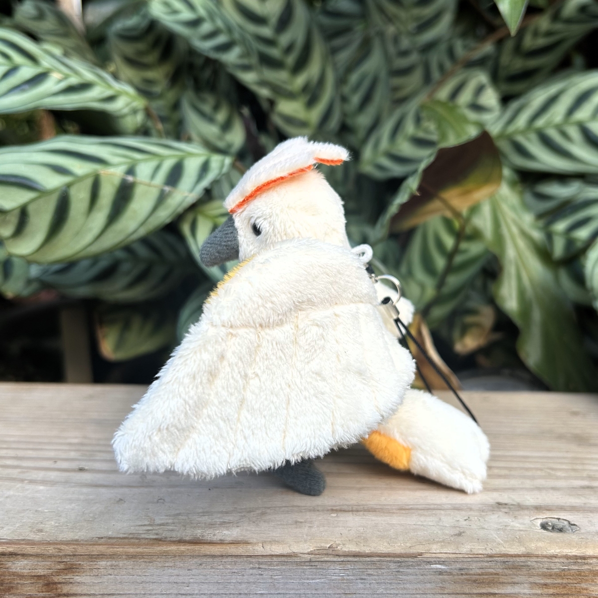 オオバタンのオオチャン ストラップ | 神戸どうぶつ王国NS