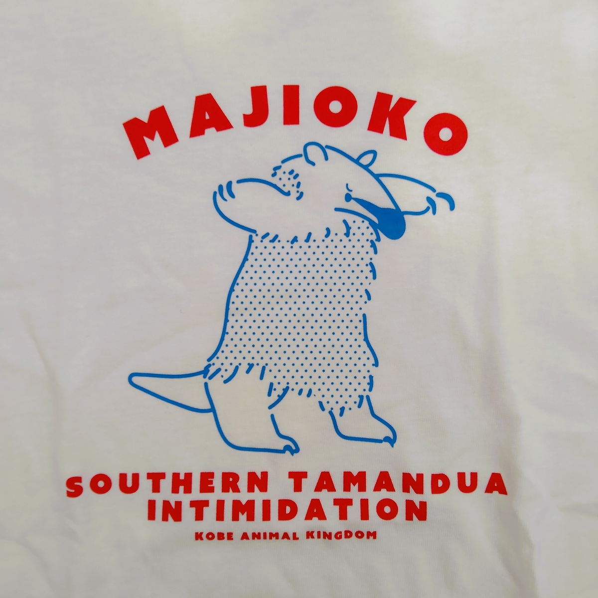 Kazumi商品 Tシャツ MAJIOKO ミナミコアリクイ | 神戸どうぶつ王国NS