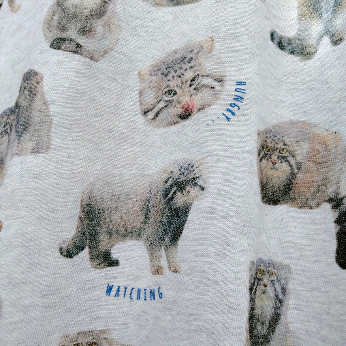 MODE Tシャツ マヌルネコ | 神戸どうぶつ王国NS