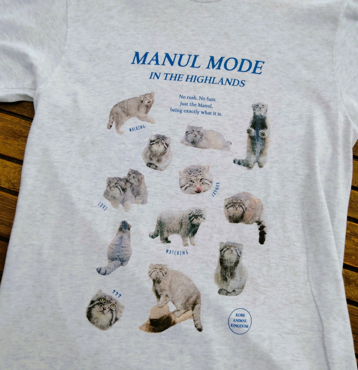 MODE Tシャツ マヌルネコ | 神戸どうぶつ王国NS
