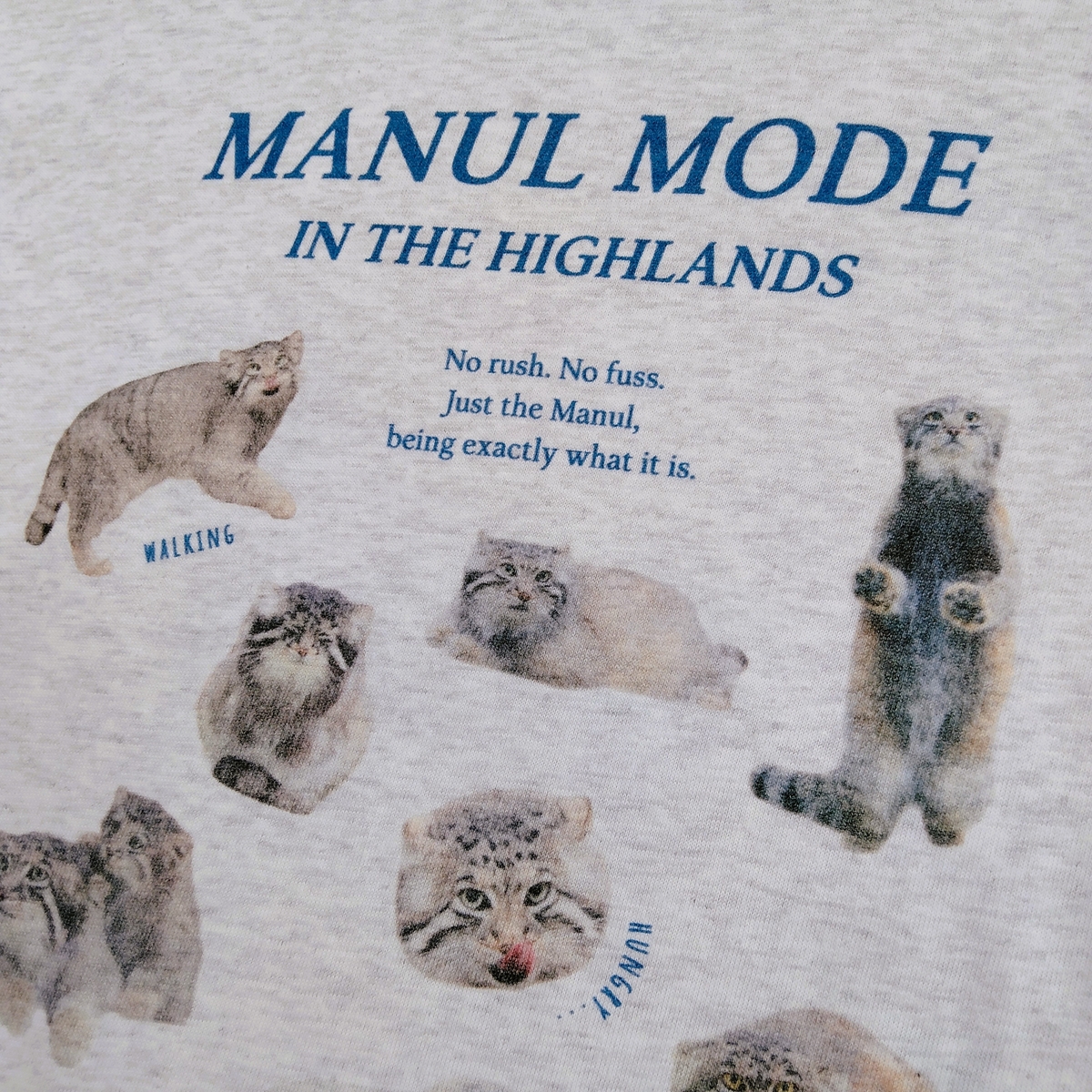 　マヌルネコ マヌルネコ｜三英貿易株式会社