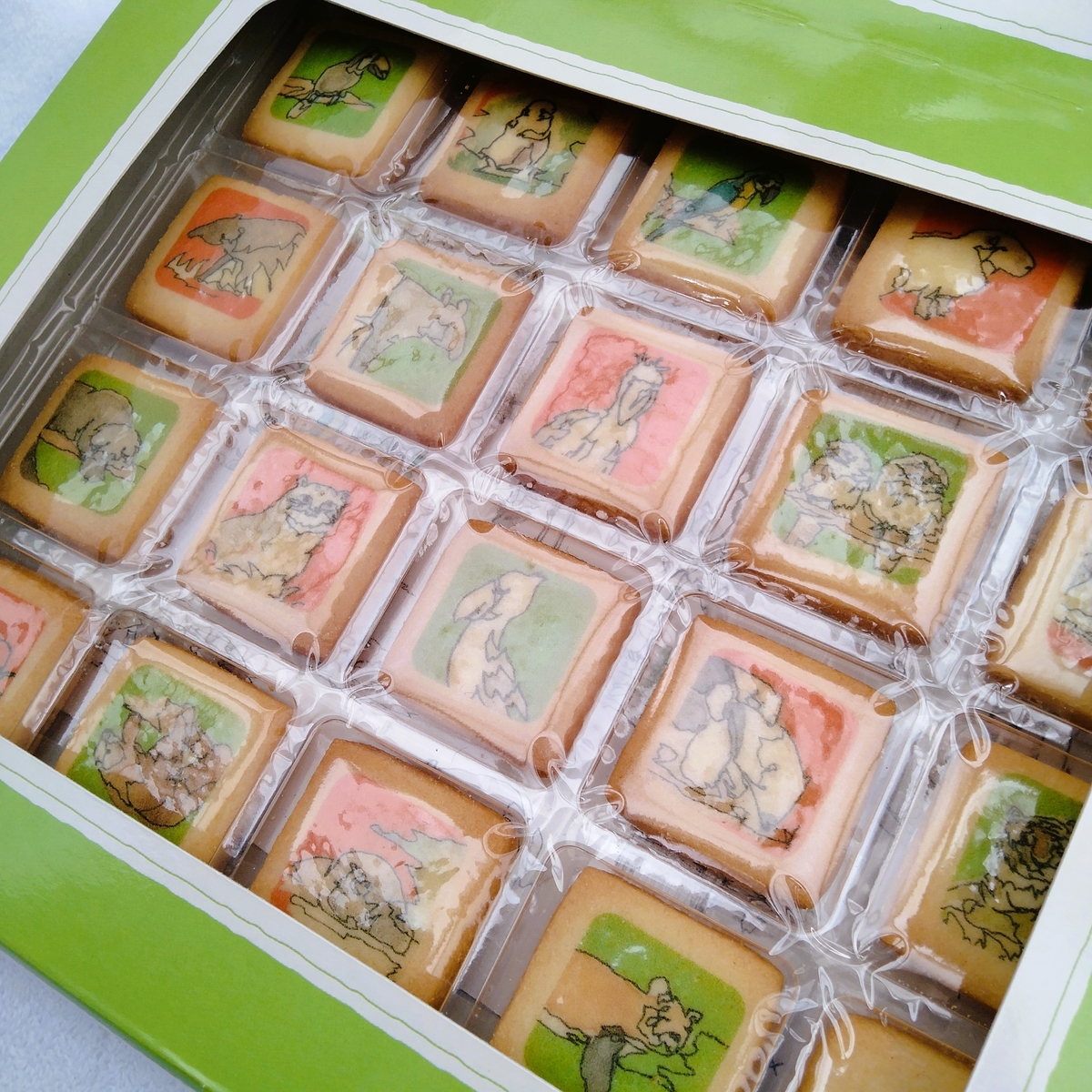 野生への扉」プリントクッキー（カード付） ≪神戸どうぶつ王国