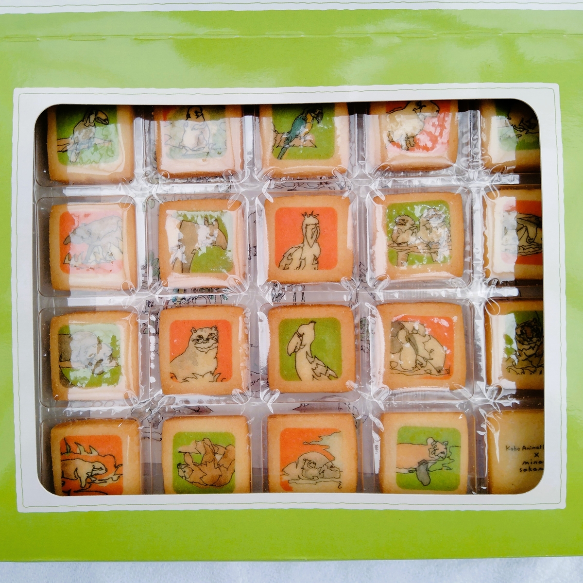 野生への扉」プリントクッキー（カード付） ≪神戸どうぶつ王国