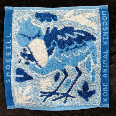 ハシビロコウ | 神戸どうぶつ王国NS