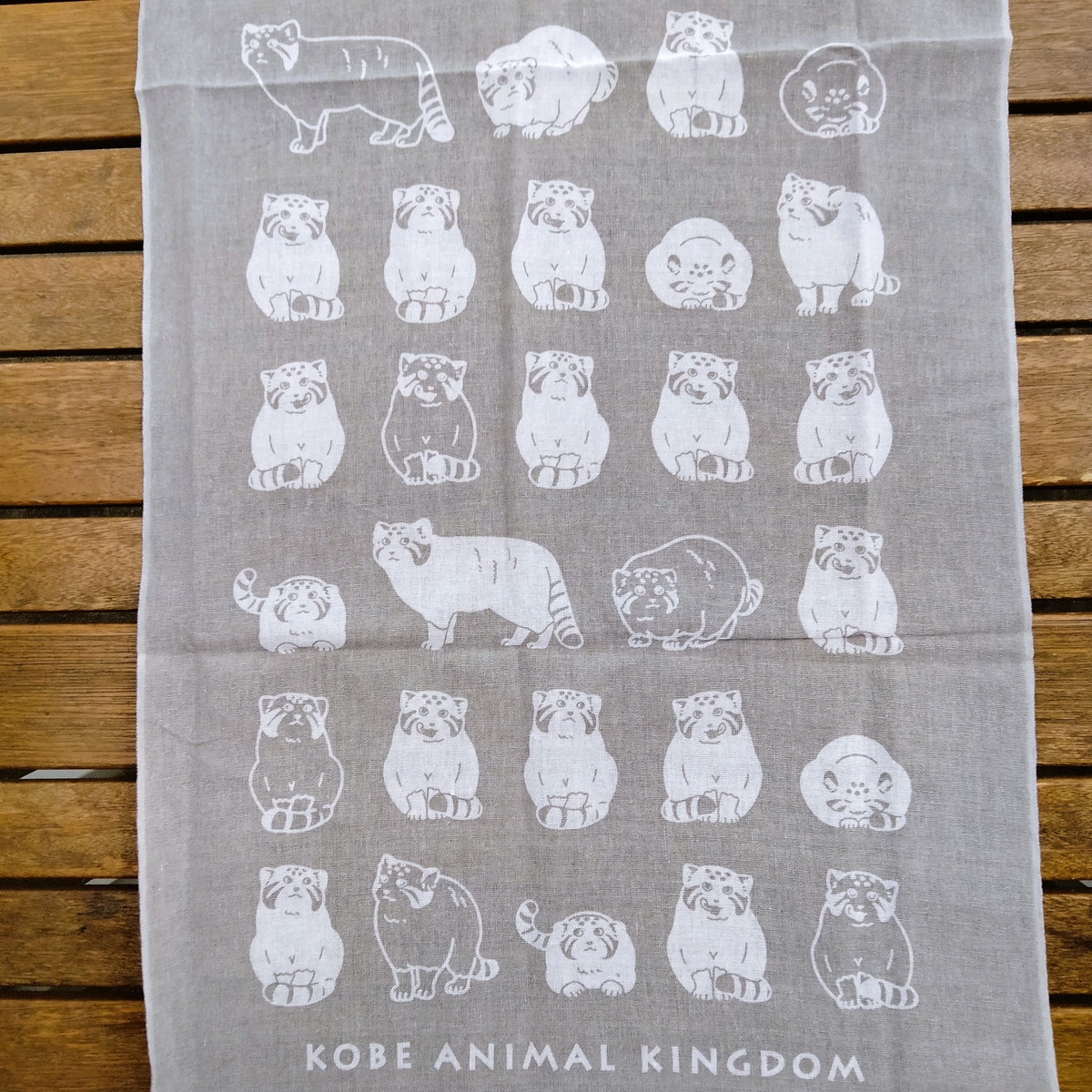 てぬぐい まぬるねこいっぱい GY マヌルネコ | 神戸どうぶつ王国NS