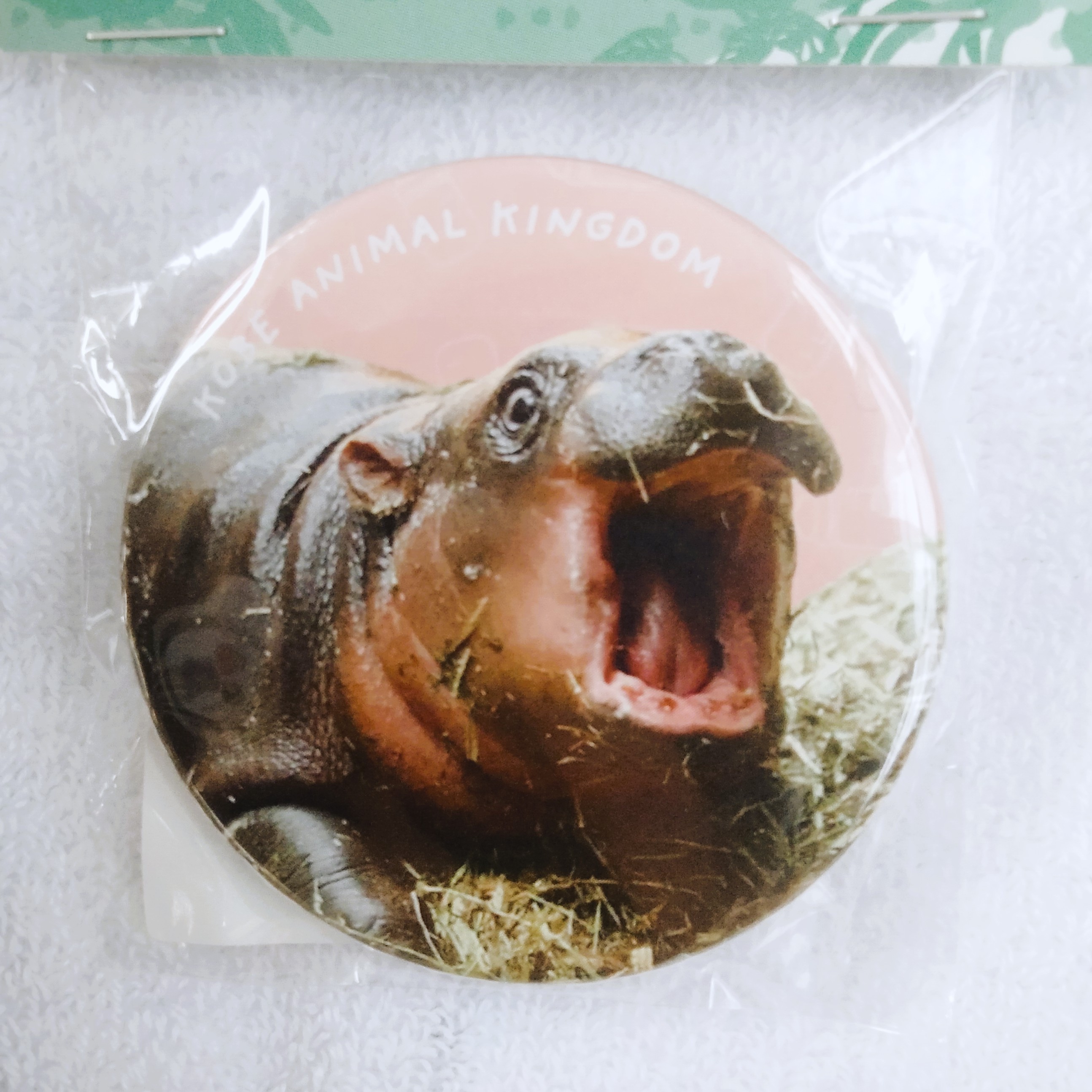 缶バッジ54㎜ コビトカバ ウタ あくび | 神戸どうぶつ王国NS