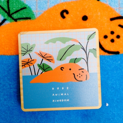 間伐材マグネット　コビトカバ　カラフルチェック