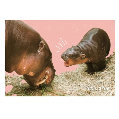 ポストカード　コビトカバ　ウタ　ねえねえおかあさん