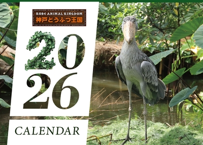 2026年　神戸どうぶつ王国カレンダー