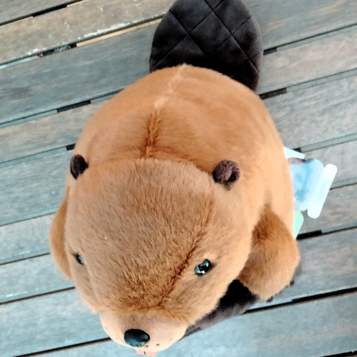 アメリカビーバーと丸太 Originalぬいぐるみ | 神戸どうぶつ王国NS