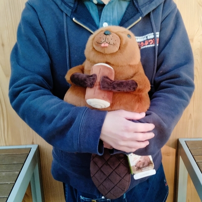 【⑧様】 レッサーパンダさん たぬきさん アメリカビーバーさん 着ぐるみ ぬい服 ⑧様】 レッサーパンダさん たぬきさん アメリカビーバーさん 着ぐるみ