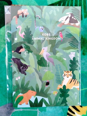 ポストカード　かくれんぼ王国