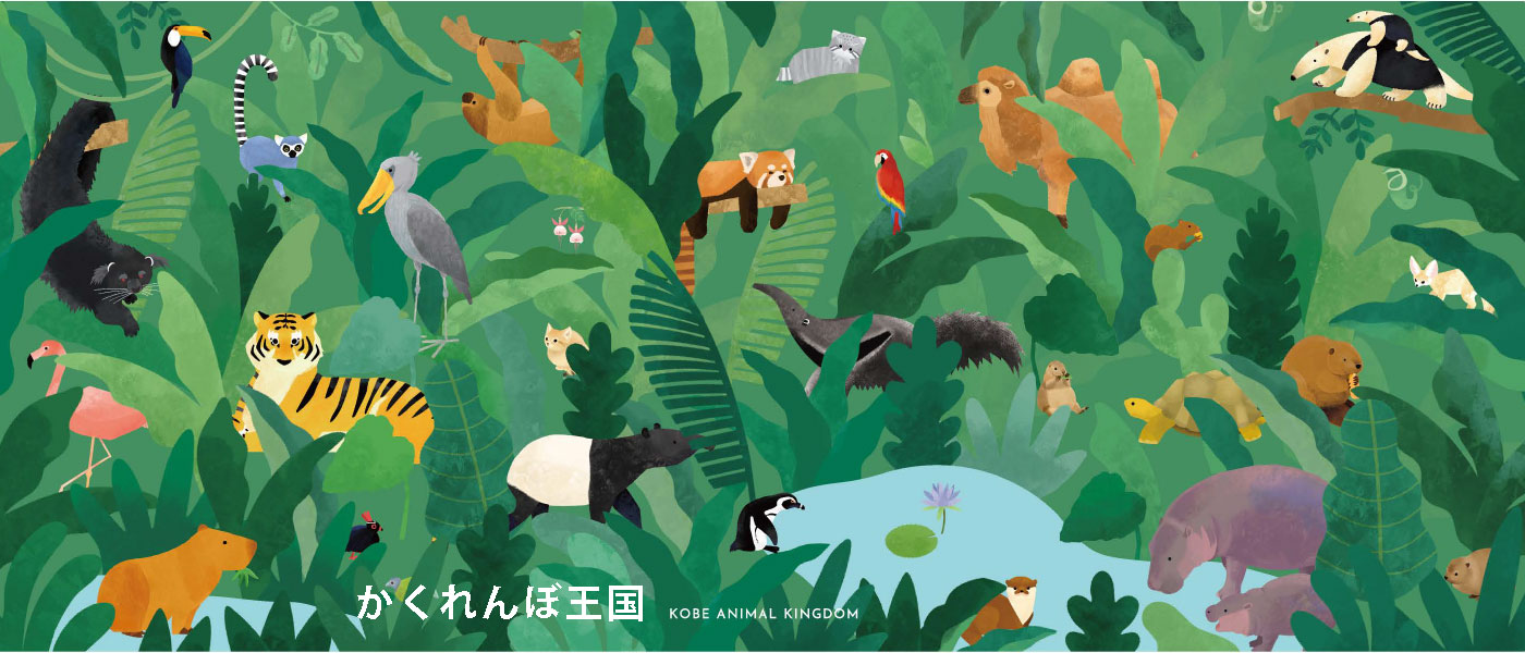 かくれんぼ王国