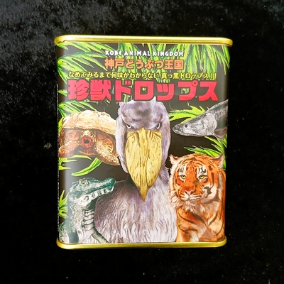 神戸どうぶつ王国『珍獣ドロップ』　　ハシビロコウ　スマトラトラ　ブラジルカイマン　ピラルク　ゾウガメ