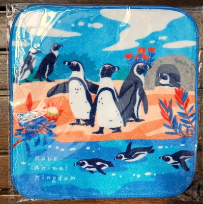 ミニタオル　ケープペンギンとアフリカの花々　OR