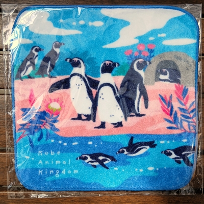 ミニタオル　ケープペンギンとアフリカの花々　PK