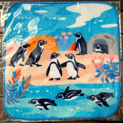ミニタオル　ケープペンギンとアフリカの花々　CUTE　デフォルメ