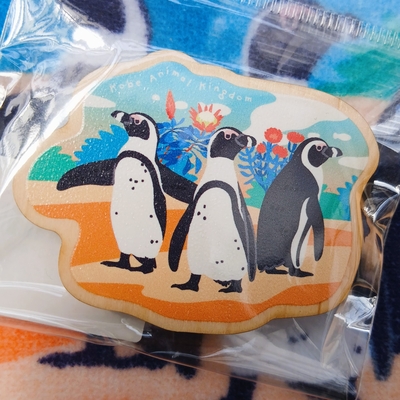 間伐材マグネット　ケープペンギンとアフリカの花々