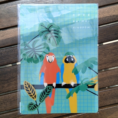 B5下敷き　カラフルチェック　コンゴウインコ2羽　オニオオハシ　ﾋﾟｸﾞﾐｰﾏｰﾓｾｯﾄ　カンムリシャコ