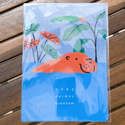 B5下敷き　カラフルチェック　コビトカバ　ミナミコアリクイ