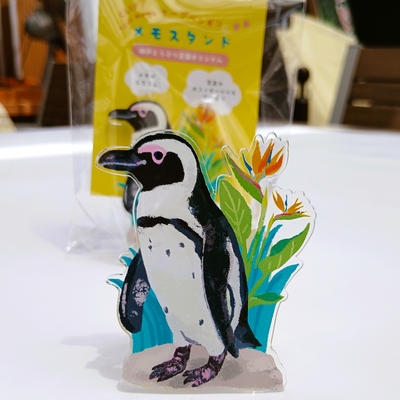アクリルメモスタンド　ケープペンギンとストレリチア