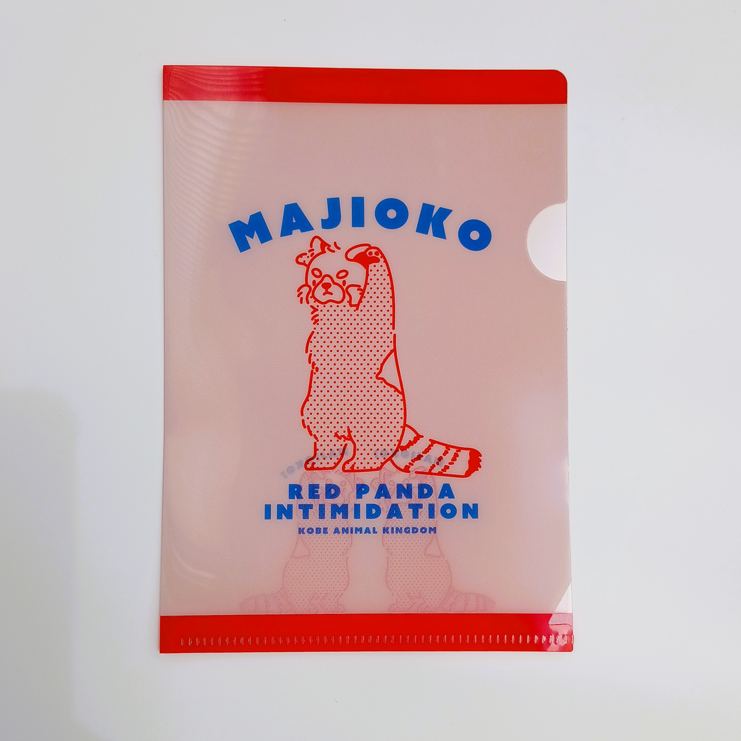 A6クリアファイル MAJIOKO レッサーパンダ | 神戸どうぶつ王国NS