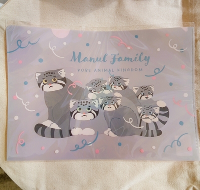 A4クリアファイル　MANUL FAMILY 2026