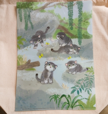 A4クリアファイル　マヌルネコ・キッズ　Manul kids