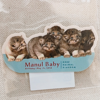 ダイカットステッカー　MANULBABY　集合③