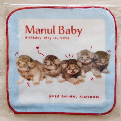ミニタオル　MANULBABY　集合　2026