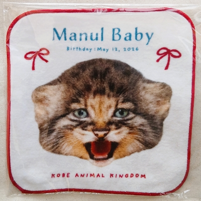ミニタオル　MANULBABY　babyface　2026