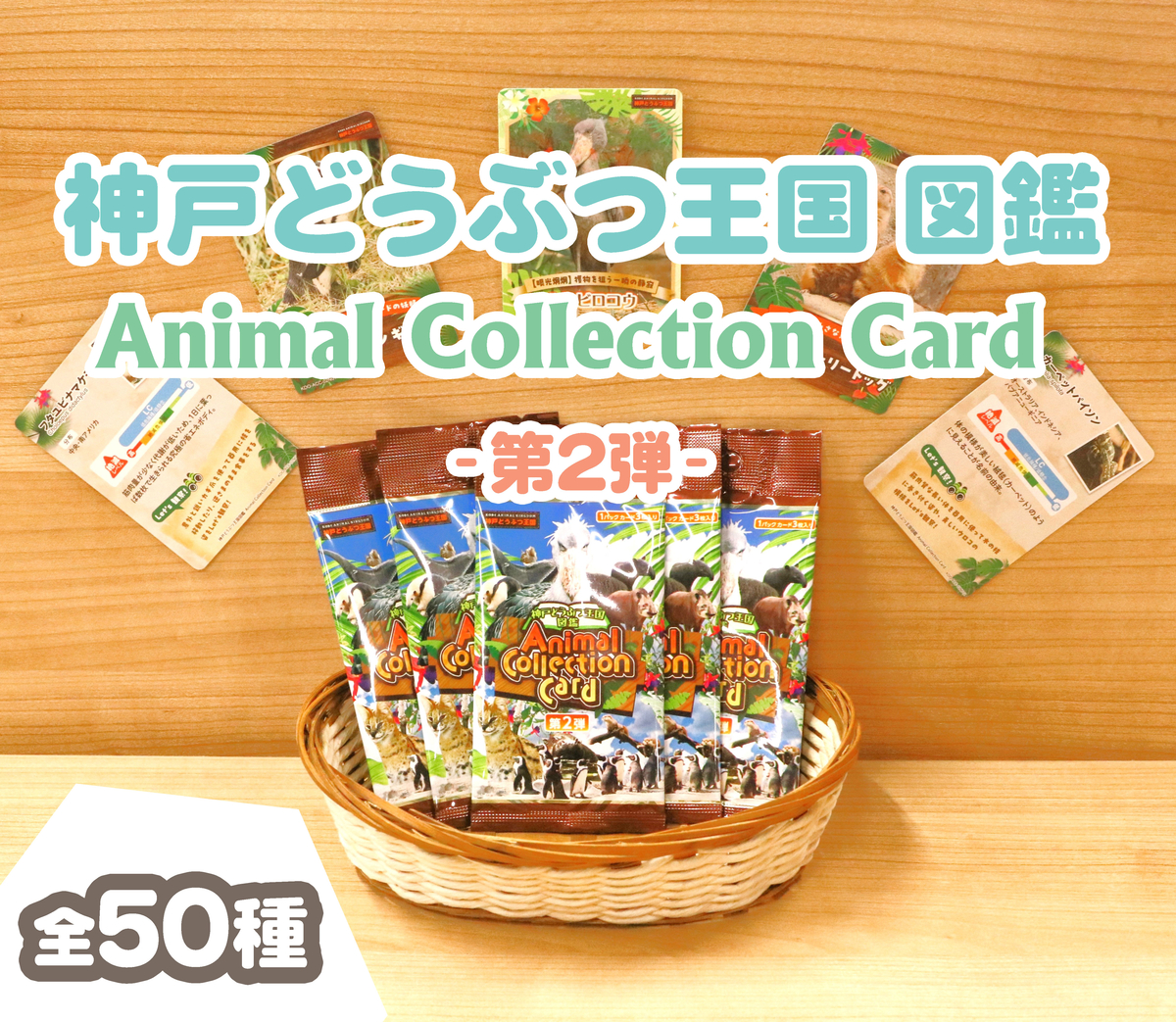 神戸どうぶつ王国 図鑑》Animal Collection Card 第2弾（1パック3枚