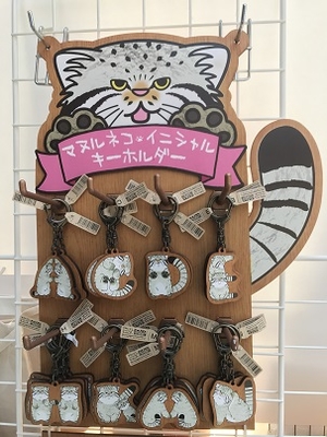 マヌルネコ イニシャルキーホルダー H | 神戸どうぶつ王国NS