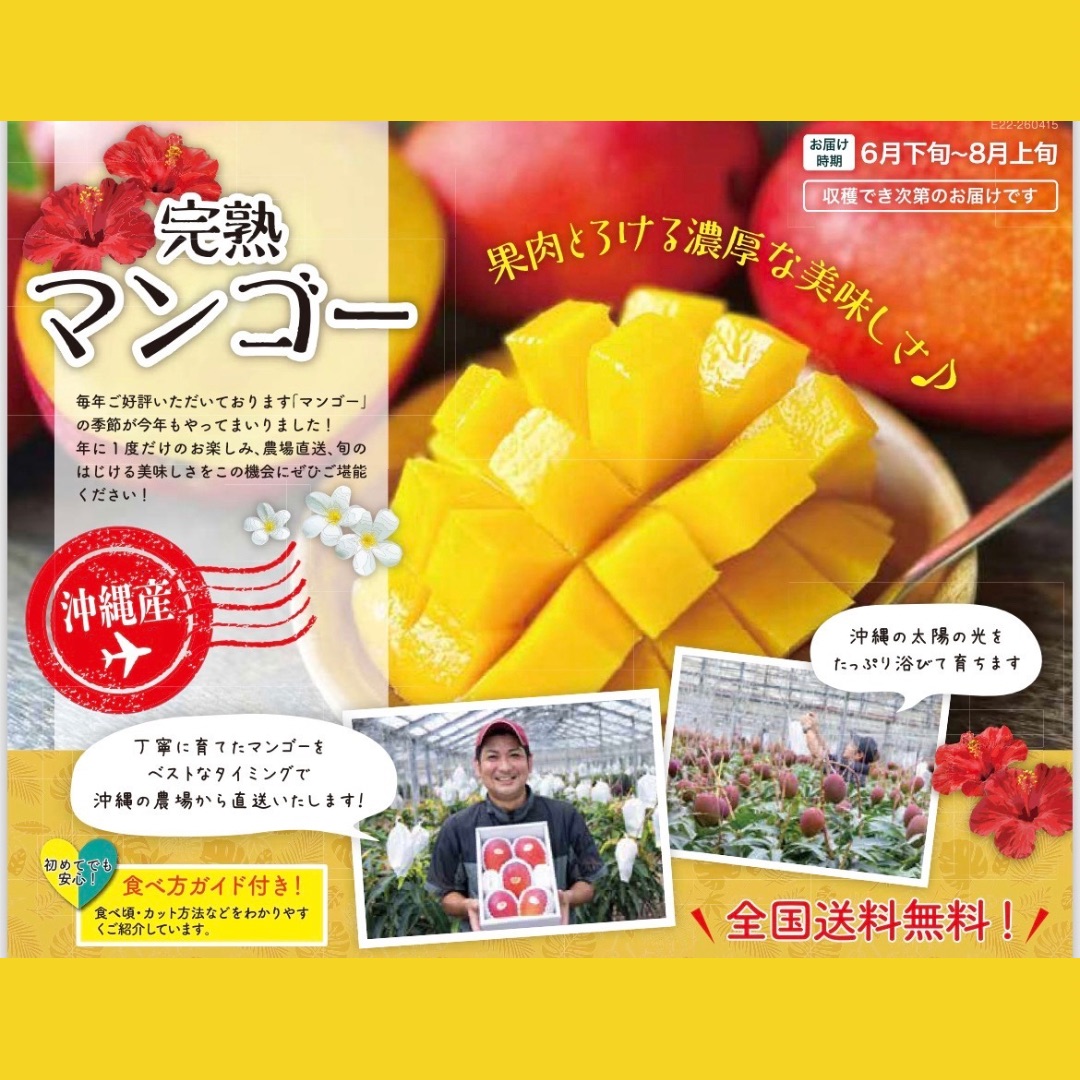 沖縄 完熟 マンゴー 販売中！！