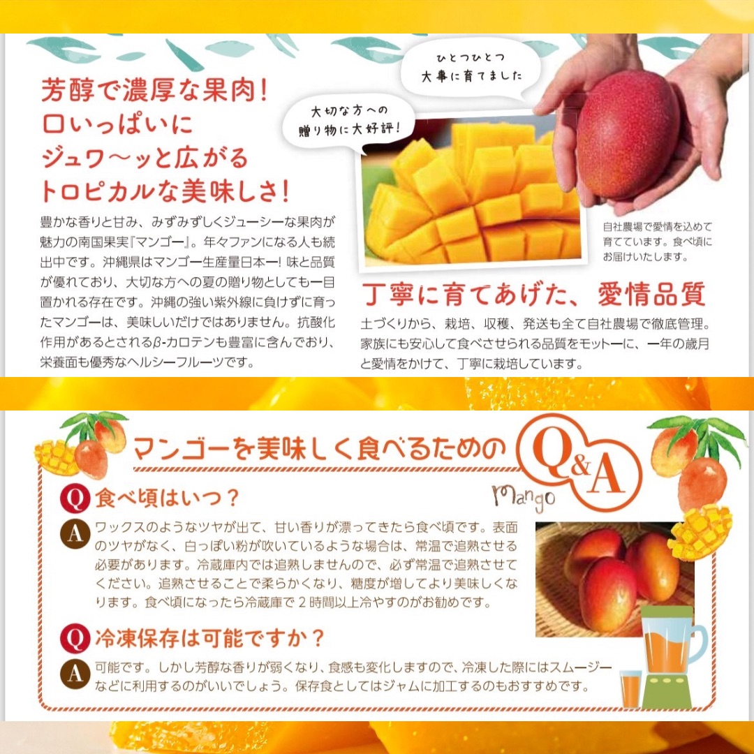 芳醇・濃厚・ジューシーなマンゴー