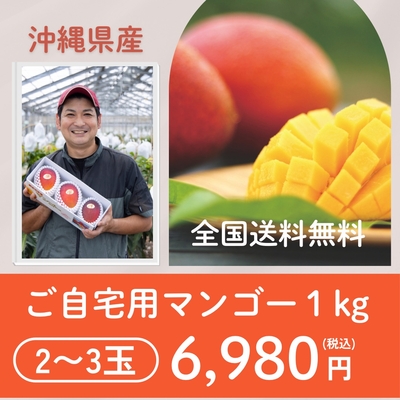 沖縄県産 ご自宅用マンゴー 1kg （2～3玉）【全国 送料 無料】
