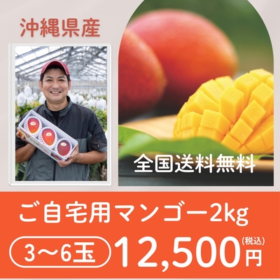 沖縄県産 ご自宅用マンゴー 2kg （3～6玉）【全国 送料 無料】