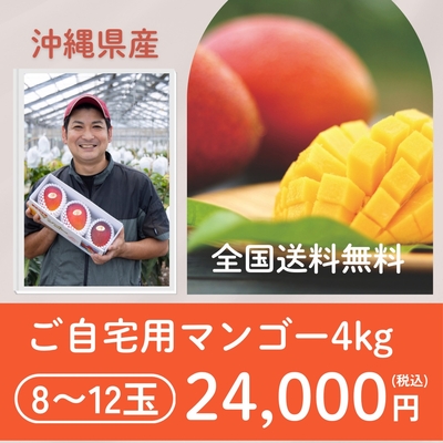沖縄県産 ご自宅用マンゴー 4kg （8～12玉）【全国 送料 無料】