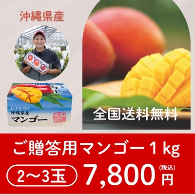 沖縄県産 贈答用マンゴー 1kg （2～3玉）【全国 送料 無料】
