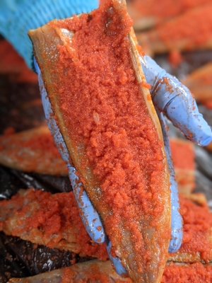 めんたい漬け魚シリーズ さかえやネットショップ めんたい漬け魚シリーズ さかえやネットショップ