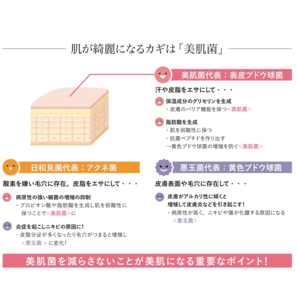 HB クレンジング (150g) 【正規品】 | SAKURAYA