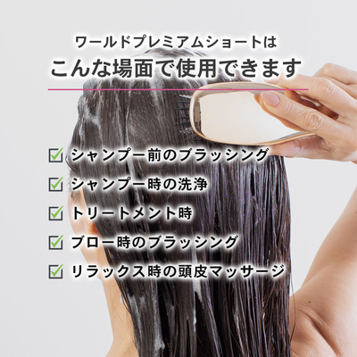 スカルプブラシショート