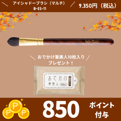 アイシャドーブラシ(ﾄﾗｲｱﾝｸﾞﾙ)【正規品】B-ES-11